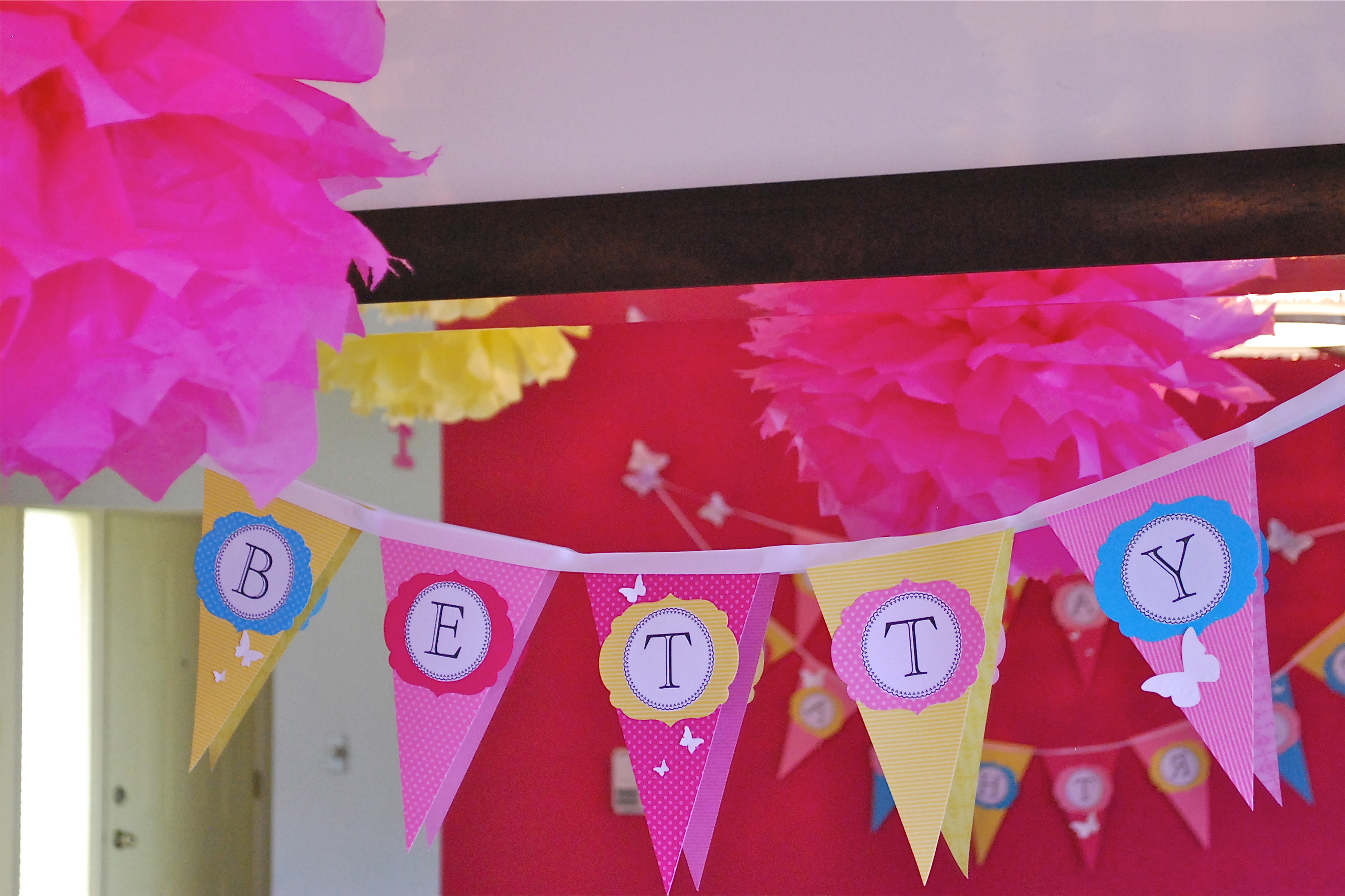 Butterfly Birthday Party Banner and Tissue Paper Poms-Poms