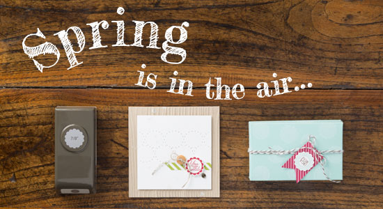 Spring Surprise Promotion